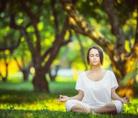 开云体育app-当挪威终结南非，穆勒的接管与东决的文明隐喻